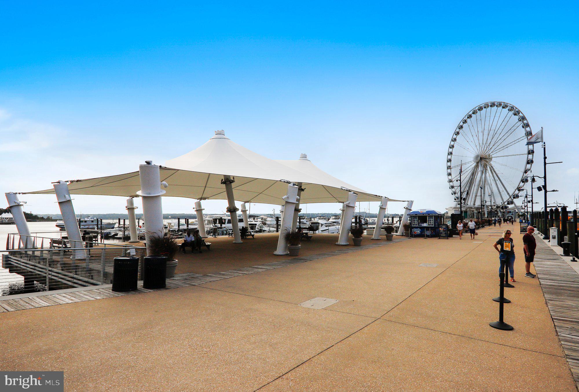 6908 Bitternut Court Fort Washington, MD 20744 - Photo 50 of 69 National Harbor Ferris Wheel