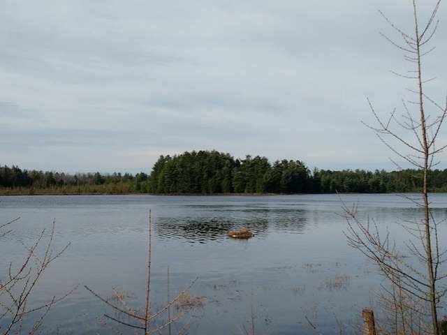 On Harmony Lake Road Eagle River, WI 54521 - Photo 10 of 21 Gallery Image 10