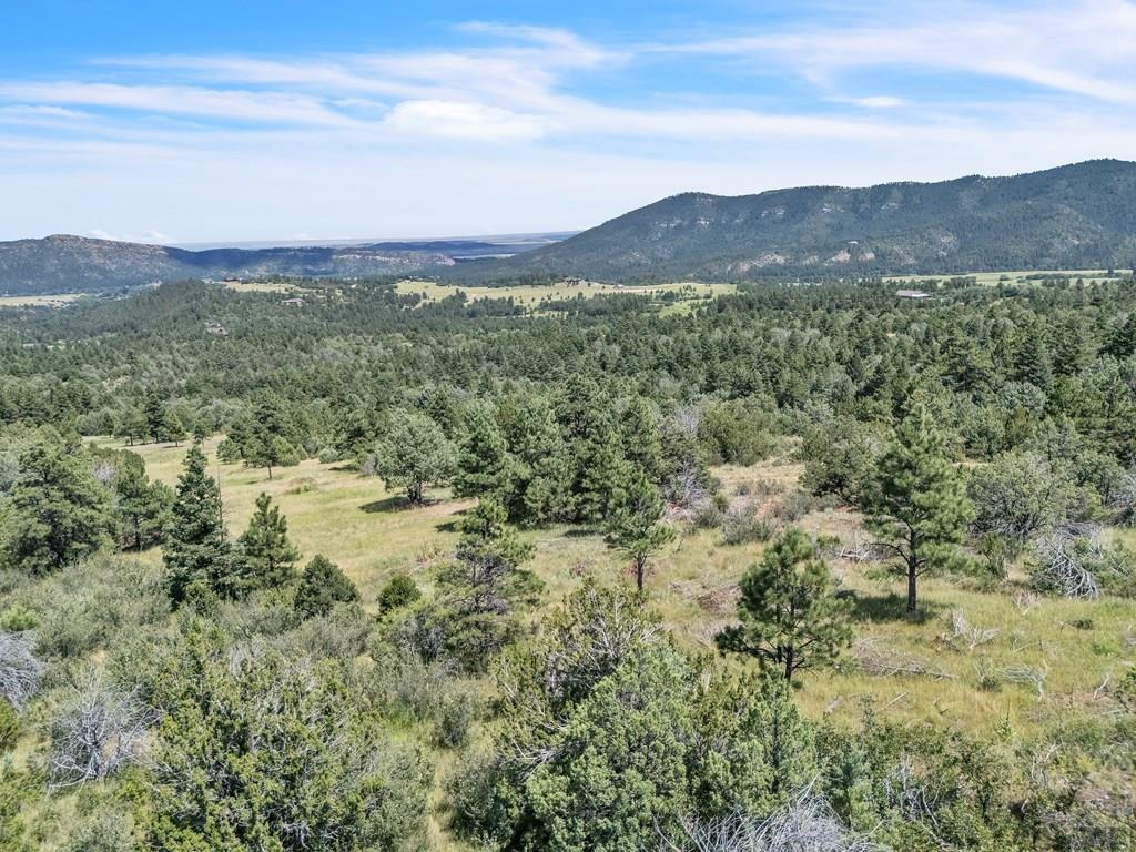 Tbd Beulah Highlands Road Beulah, CO 81023 - Photo 12 of 23 a view of mountain with green field