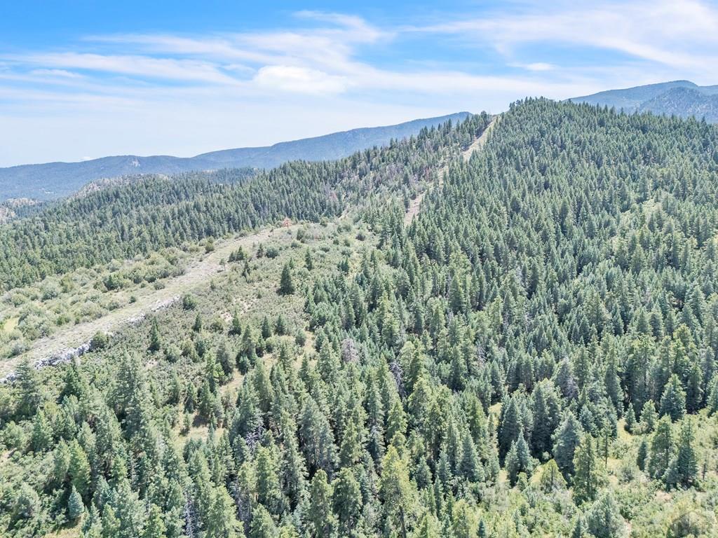Tbd Beulah Highlands Road Beulah, CO 81023 - Photo 14 of 23 a view of a green field with lots of bushes