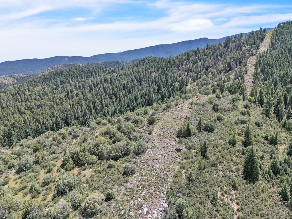 Tbd Beulah Highlands Road Beulah, CO 81023 - Photo 17 of 23 a view of a mountain range with trees in the background