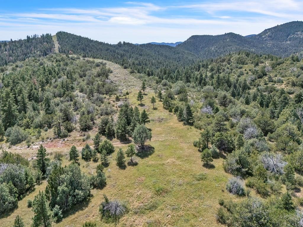 Tbd Beulah Highlands Road Beulah, CO 81023 - Photo 18 of 23 a view of a mountain in the distance in a field