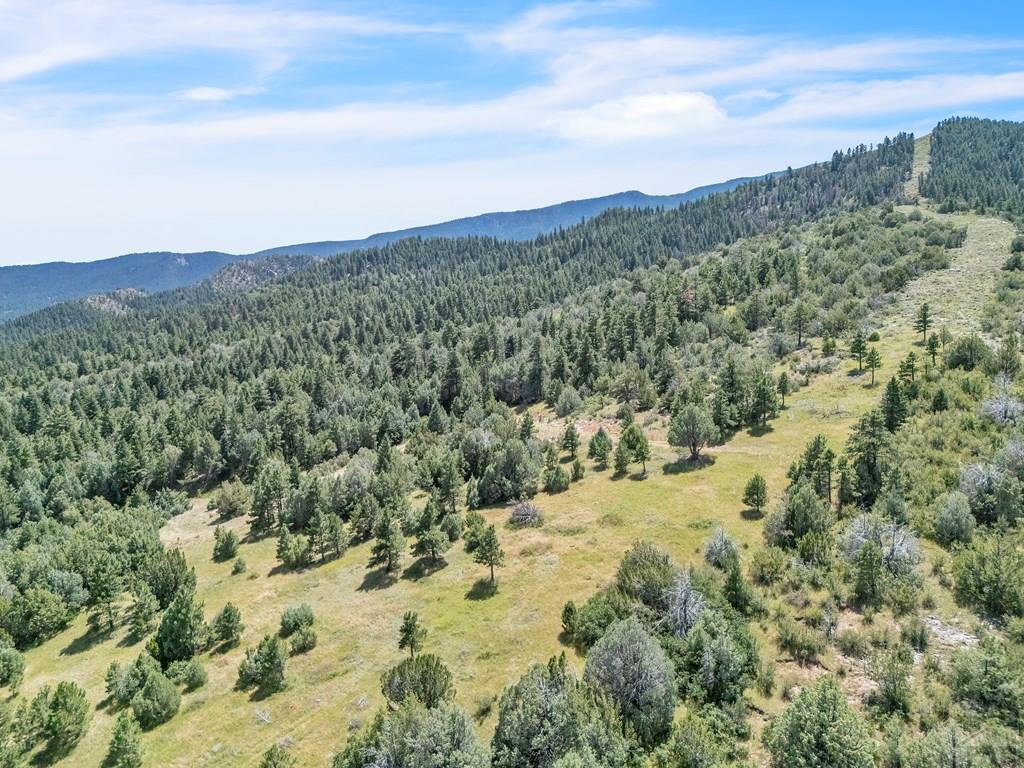 Tbd Beulah Highlands Road Beulah, CO 81023 - Photo 19 of 23 a view of a mountain range with trees in the background