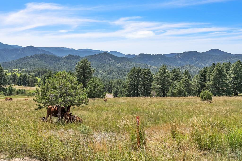 Tbd Beulah Highlands Road Beulah, CO 81023 - Photo 2 of 23 a view of mountain with outdoor space