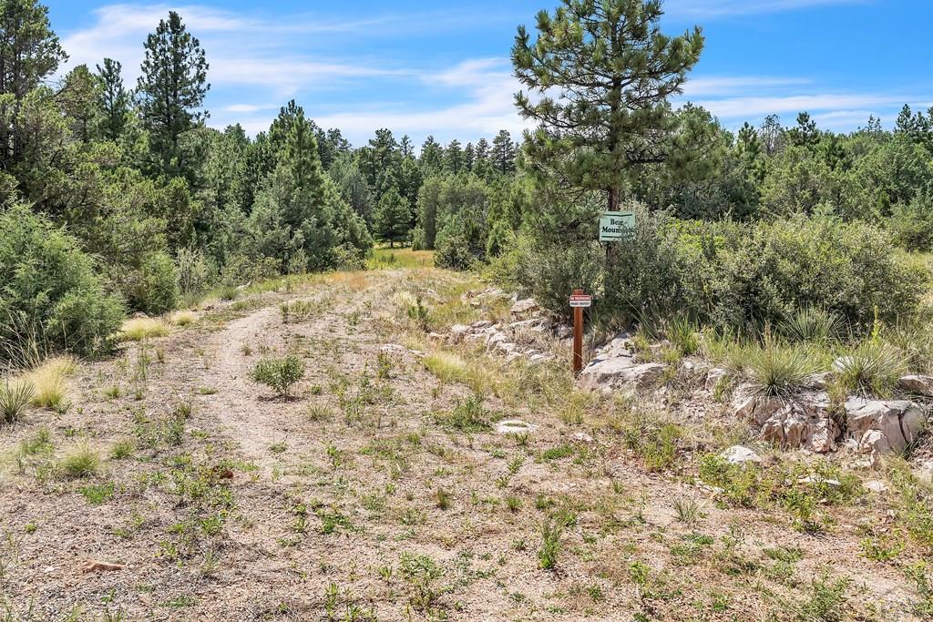 Tbd Beulah Highlands Road Beulah, CO 81023 - Photo 5 of 23 a view of a yard with a tree