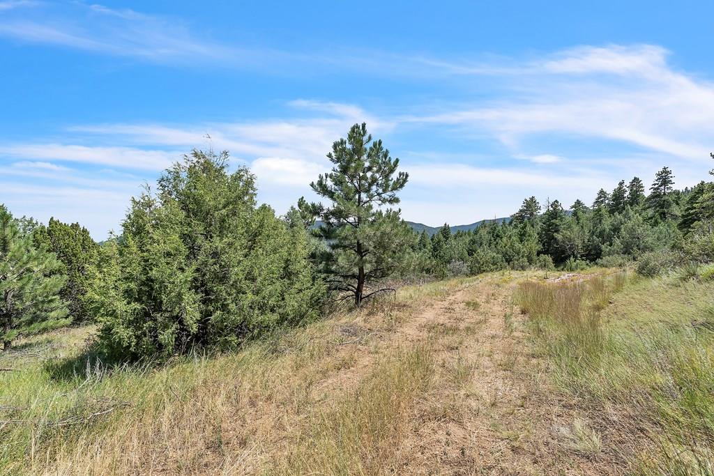 Tbd Beulah Highlands Road Beulah, CO 81023 - Photo 7 of 23 a view of a lake with mountain in the back