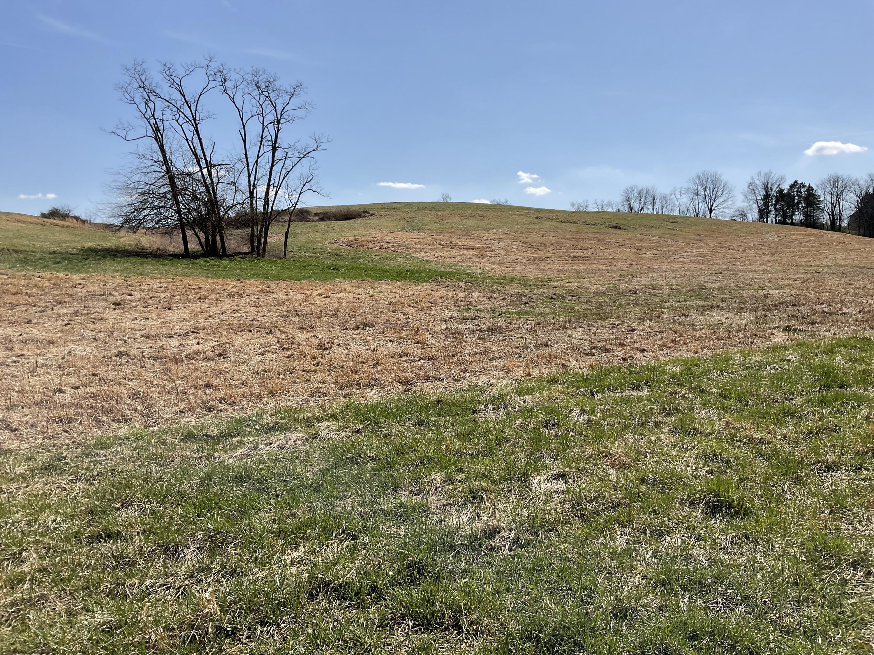 4031 McCormick Road Mount Sterling, KY 40353 - Photo 12 of 22 IMG_1108