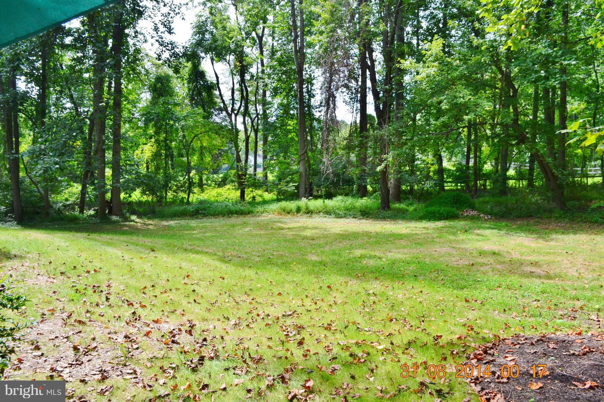 4242 Butler Road Glyndon, MD 21136 - Photo 28 of 29 a view of a grassy field with trees in the background
