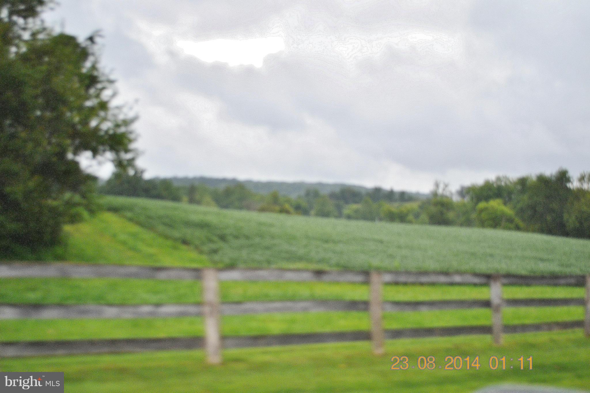 4242 Butler Road Glyndon, MD 21136 - Photo 29 of 29 a view of a field of grass and trees