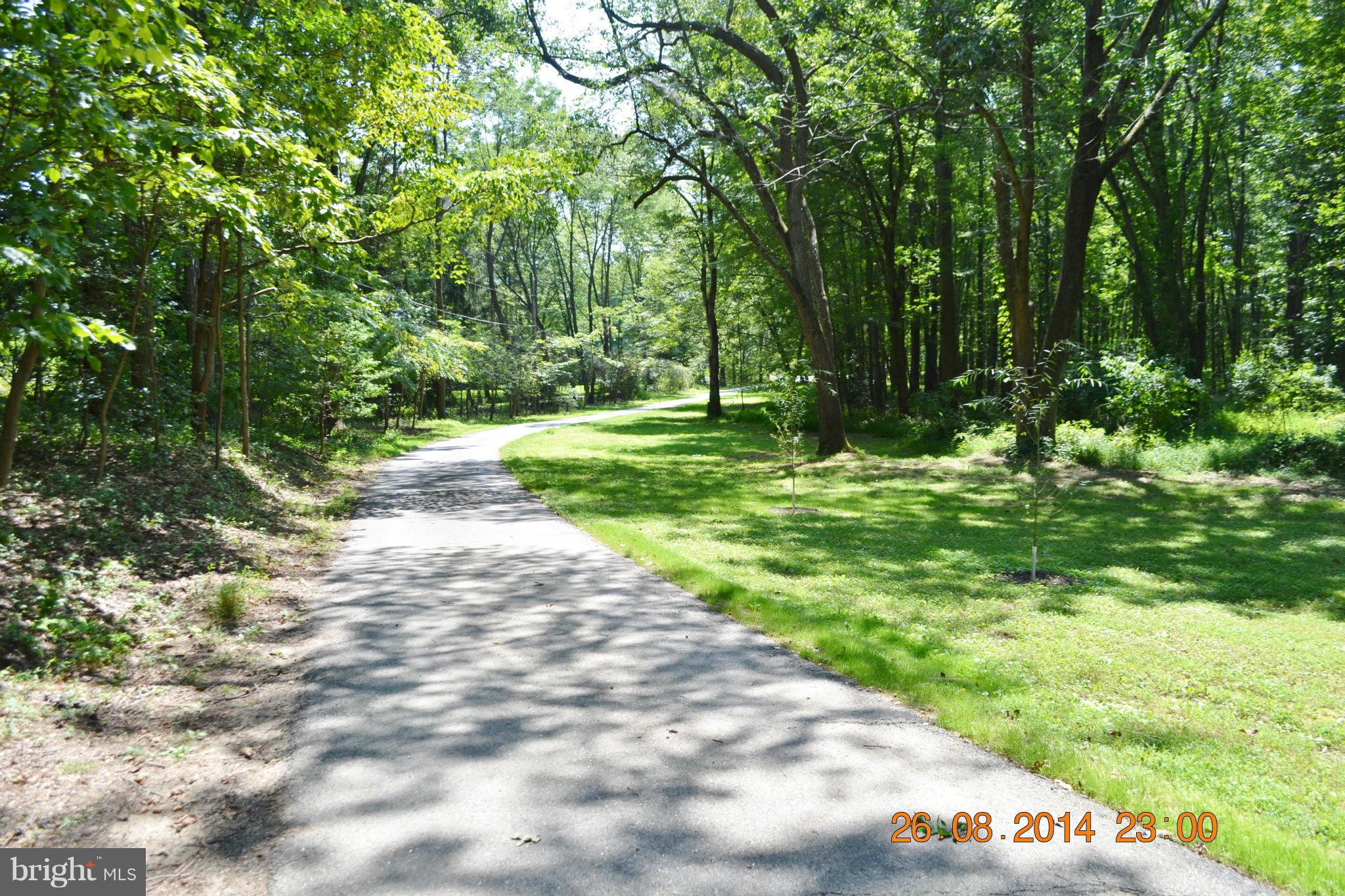 4242 Butler Road Glyndon, MD 21136 - Photo 4 of 29 a view of a park with large trees