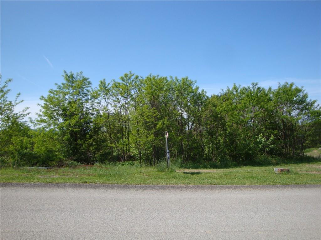793 Victoria Way Derry, PA 15627 - Photo 1 of 3 a view of a yard with a tree