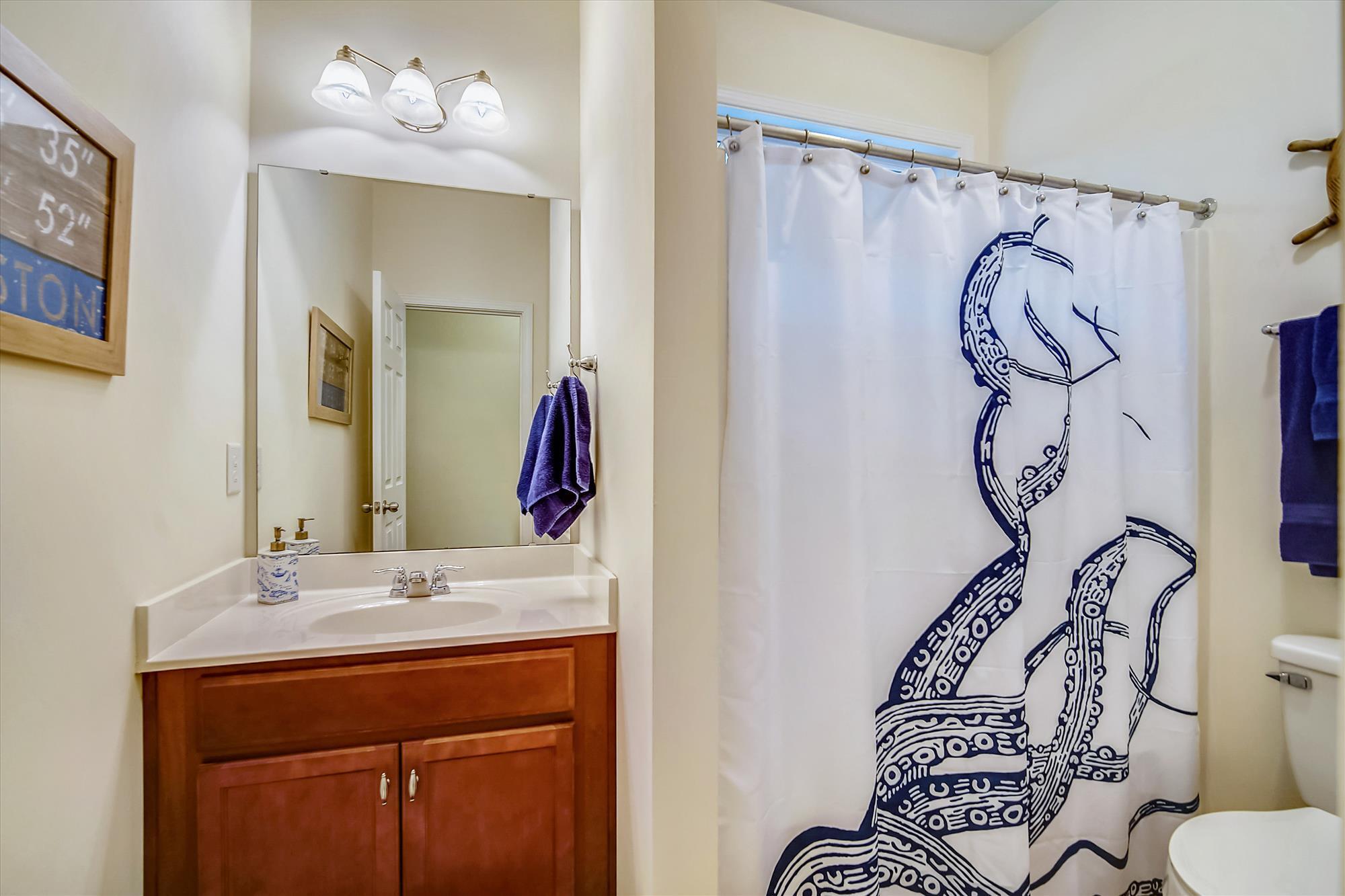 3498 Field Planters Road Johns Island, SC 29455 - Photo 23 of 28 Shared Bathroom