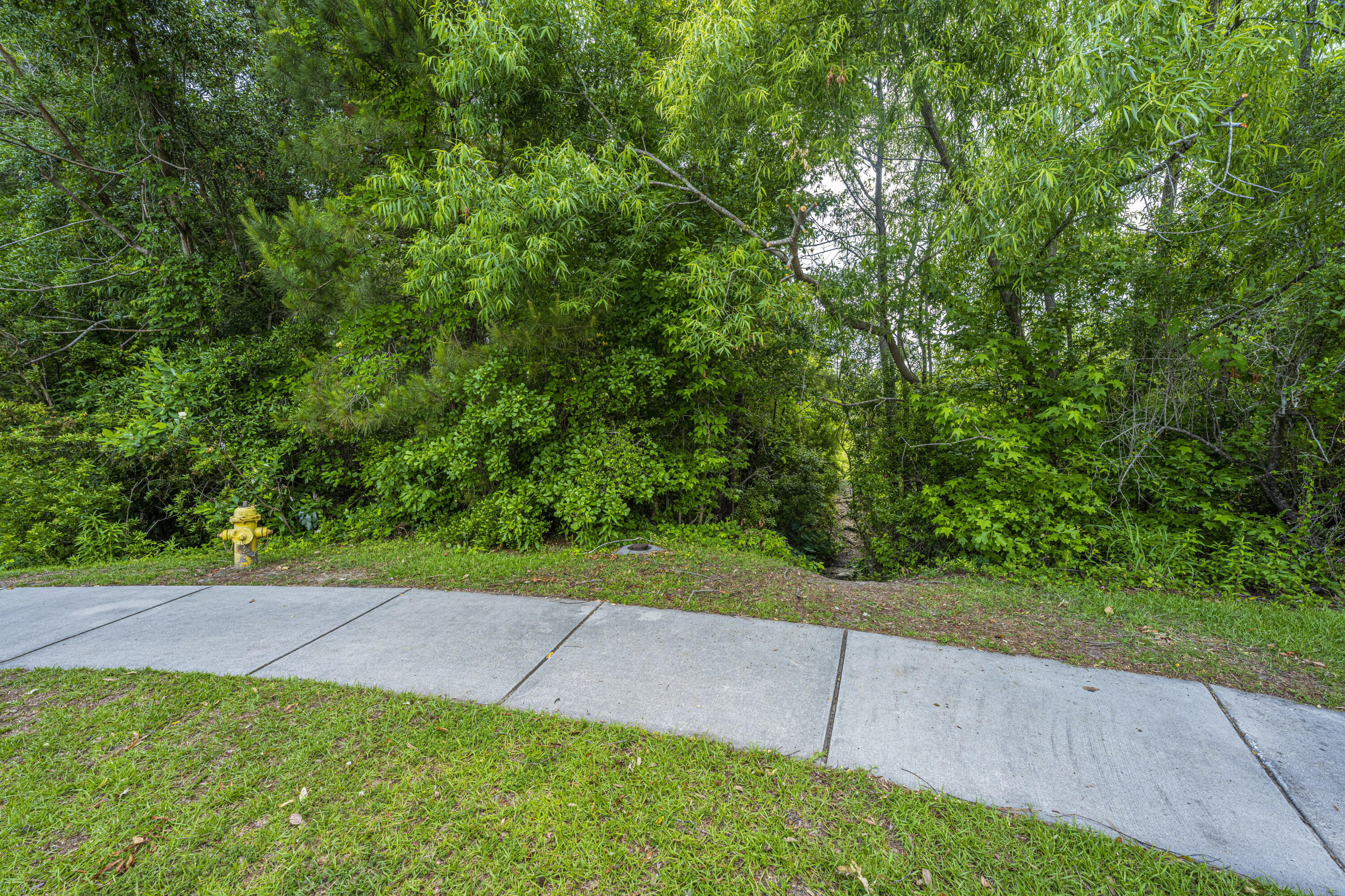 3498 Field Planters Road Johns Island, SC 29455 - Photo 27 of 28 Trail to park and tennis courts