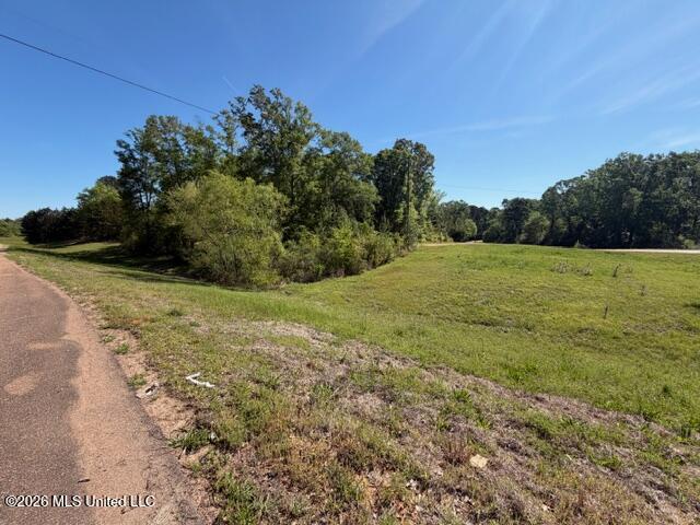 471 Hwy Brandon Ms 39042 Brandon, MS 39042 - Photo 8 of 11 IMG_5595