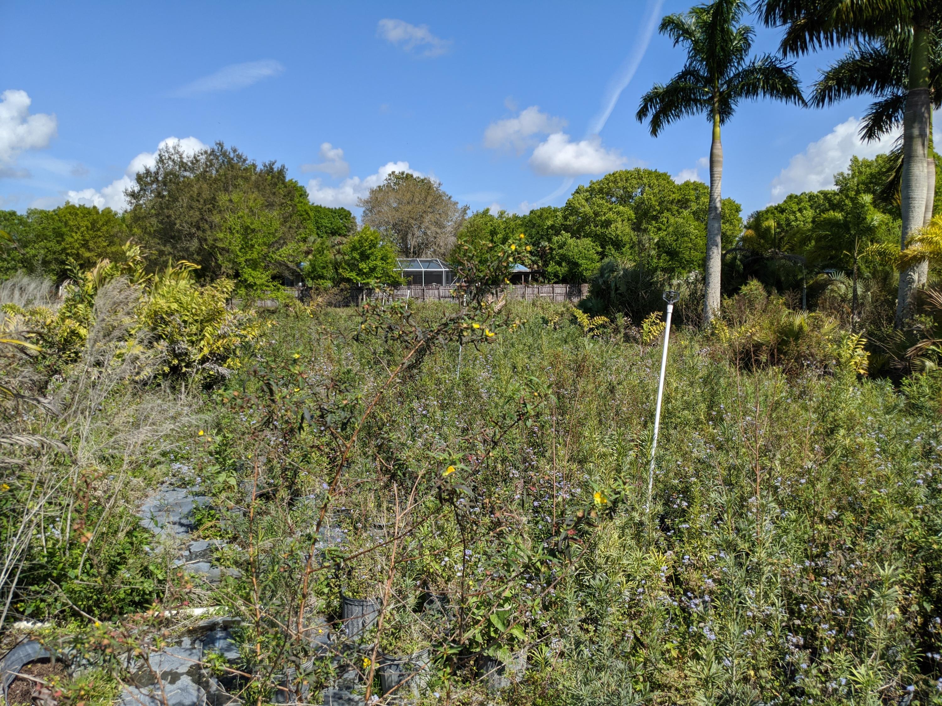 7975 Southwest Fox Brown Road Indiantown, FL 34956 - Photo 20 of 22 IMG_20210219_113615