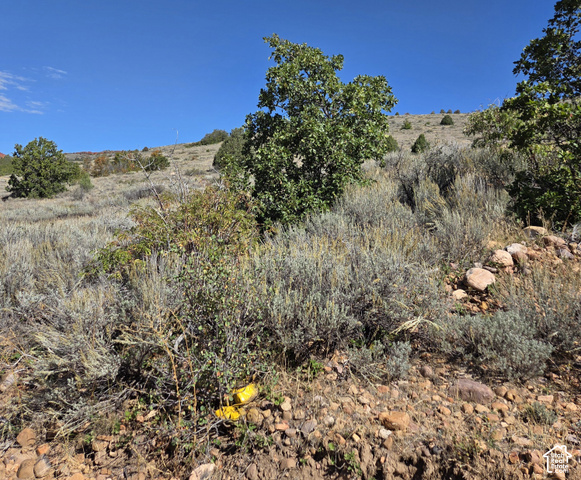 3378 Spring Way, Unit 410 Huntsville, UT 84317 - Photo 10 of 24 Additional content
