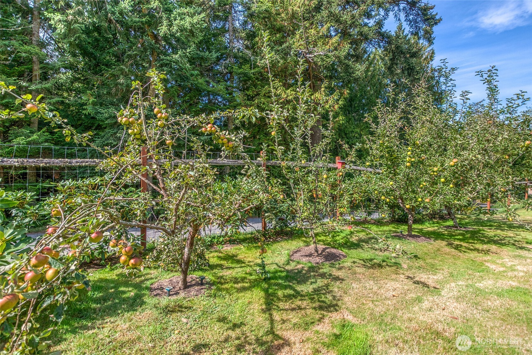 2822 Enchanted Forest Road Orcas Island, WA 98245 - Photo 22 of 40 Gallery Image 22