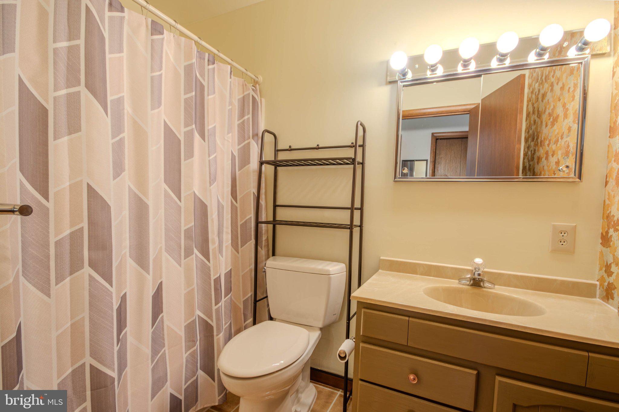 31749 Morris Leonard Road Parsonsburg, MD 21849 - Photo 18 of 40 Modern bathroom with stylish accents.