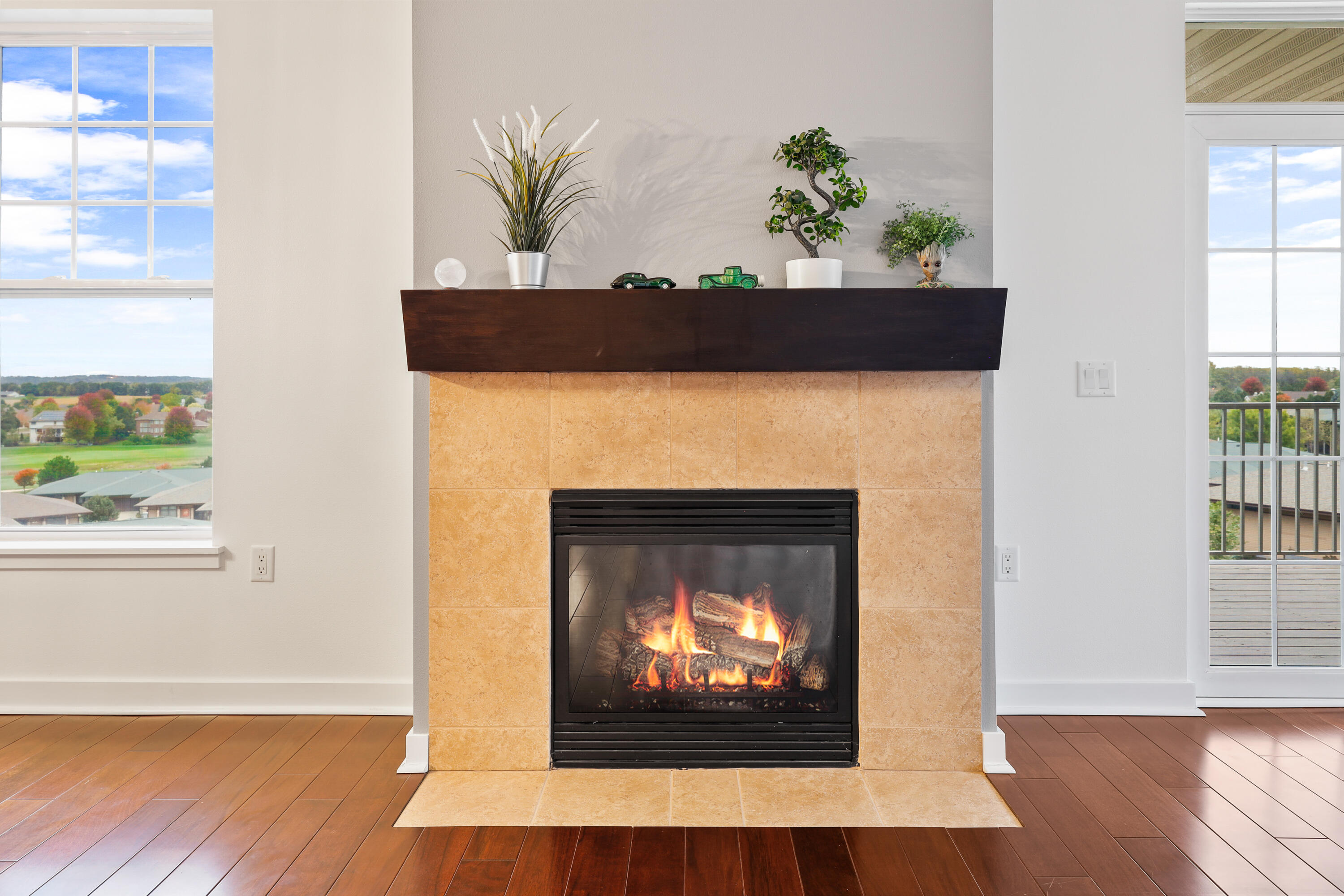 9225 Crosswinds Lane, Unit 402 Madison, WI 53593 - Photo 6 of 29 Gas Fireplace