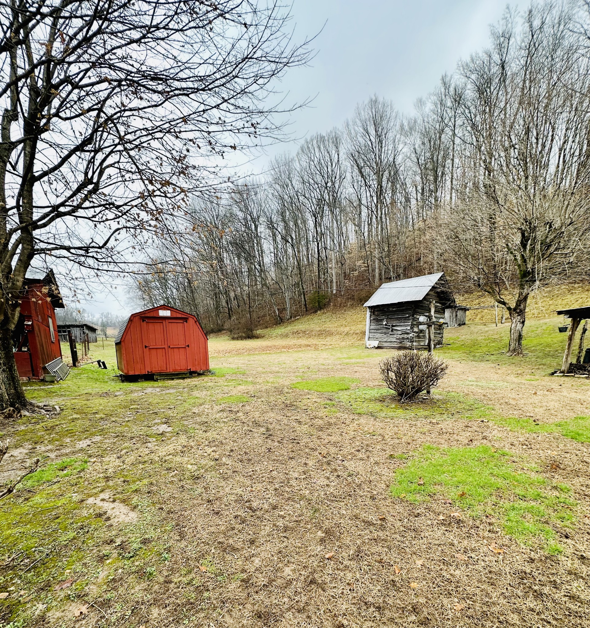 254 Rutledge Road Shelbyville, TN 37160 - Photo 15 of 61 Gallery Image 15