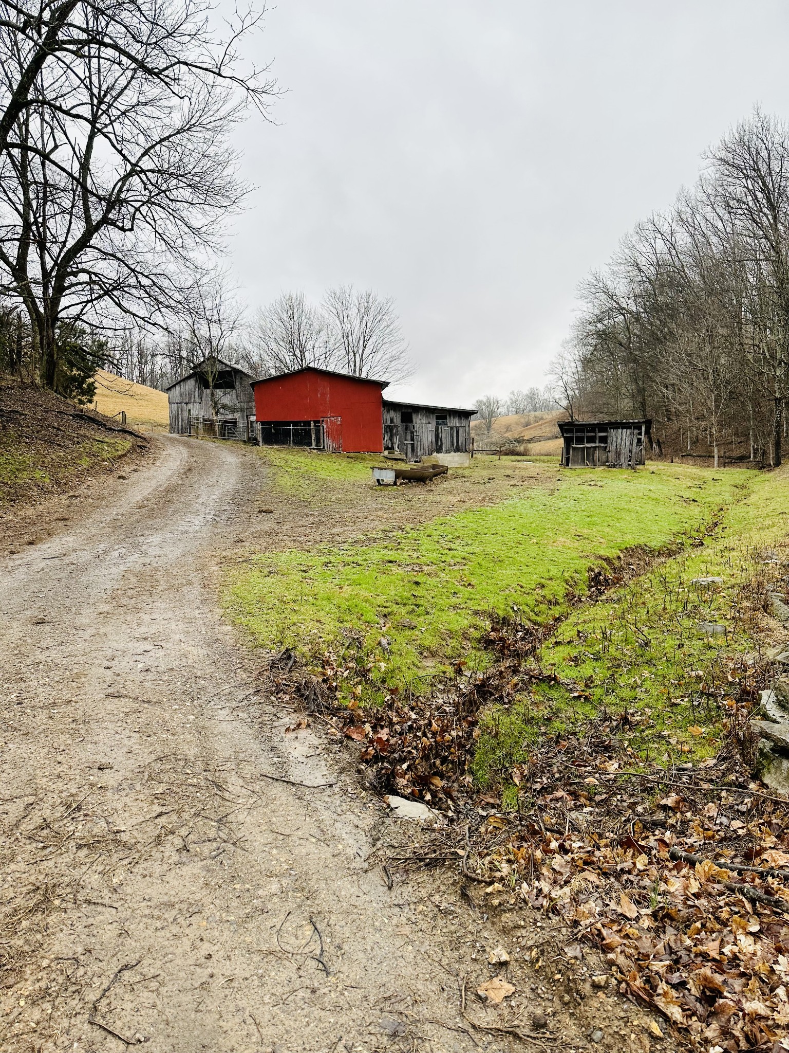 254 Rutledge Road Shelbyville, TN 37160 - Photo 17 of 61 Gallery Image 17
