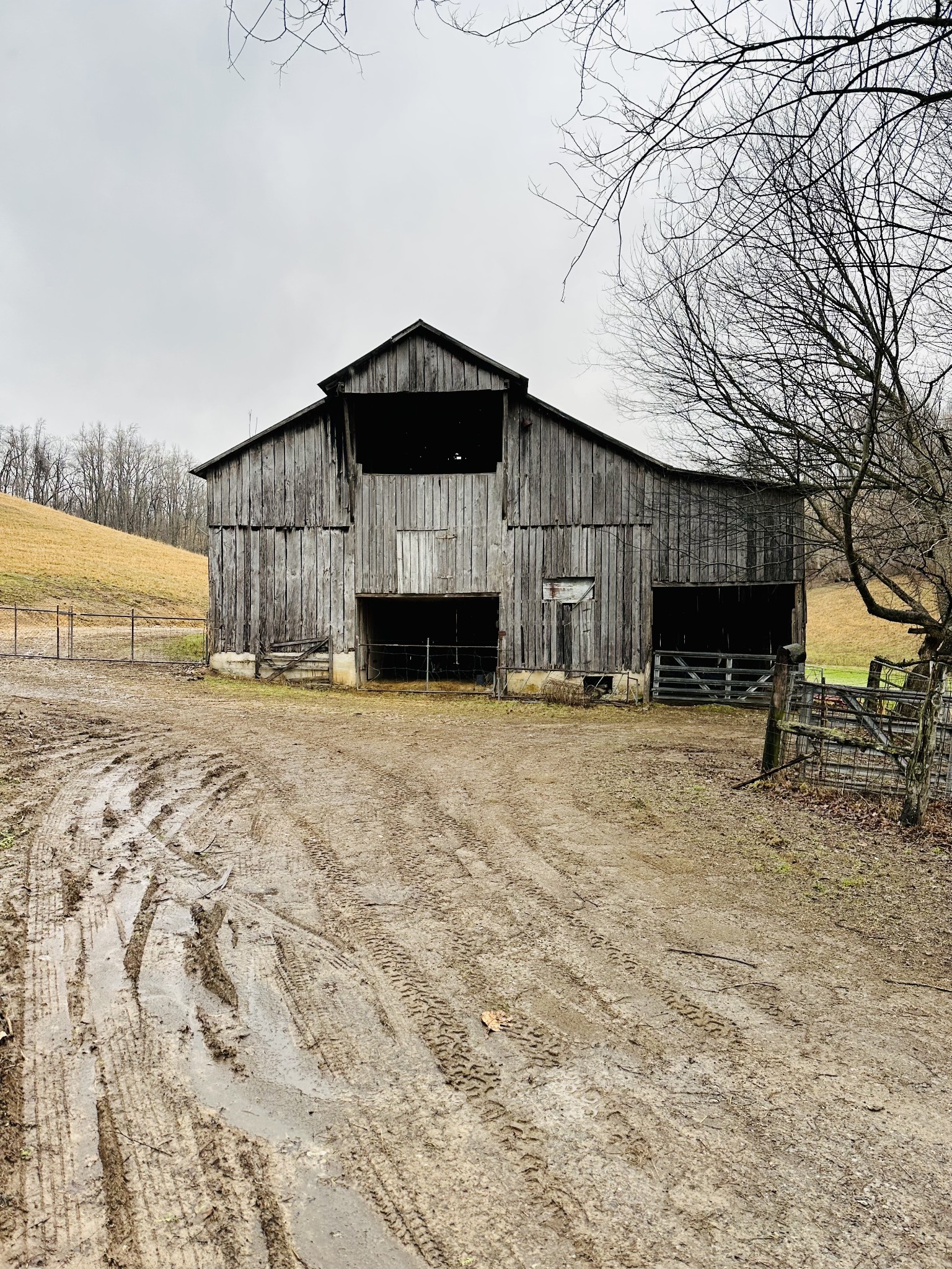 254 Rutledge Road Shelbyville, TN 37160 - Photo 21 of 61 Gallery Image 21