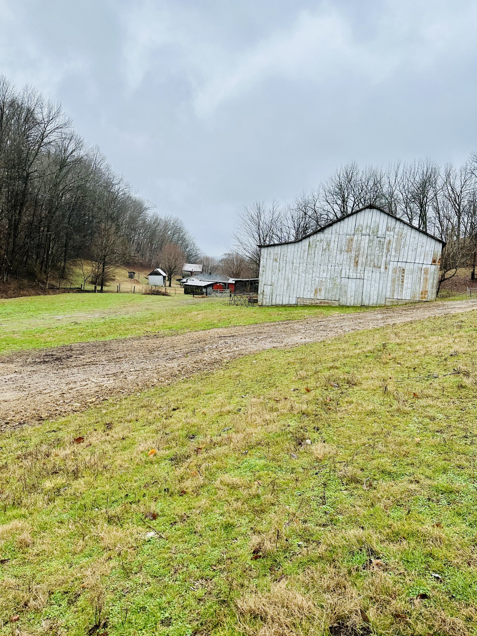 254 Rutledge Road Shelbyville, TN 37160 - Photo 22 of 61 Gallery Image 22