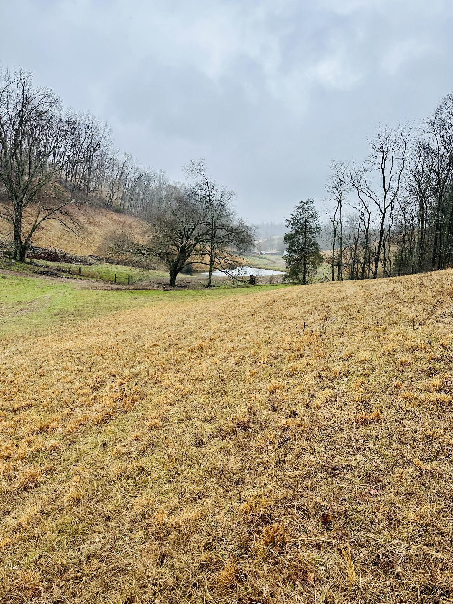 254 Rutledge Road Shelbyville, TN 37160 - Photo 23 of 61 Gallery Image 23