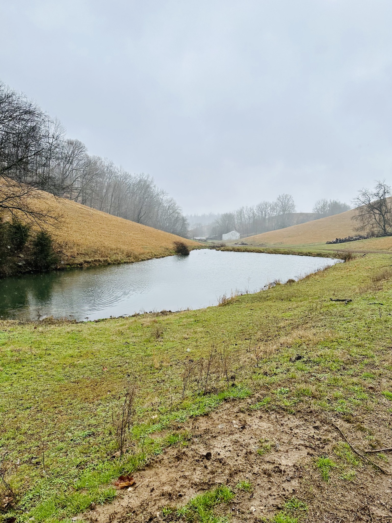 254 Rutledge Road Shelbyville, TN 37160 - Photo 24 of 61 Gallery Image 24