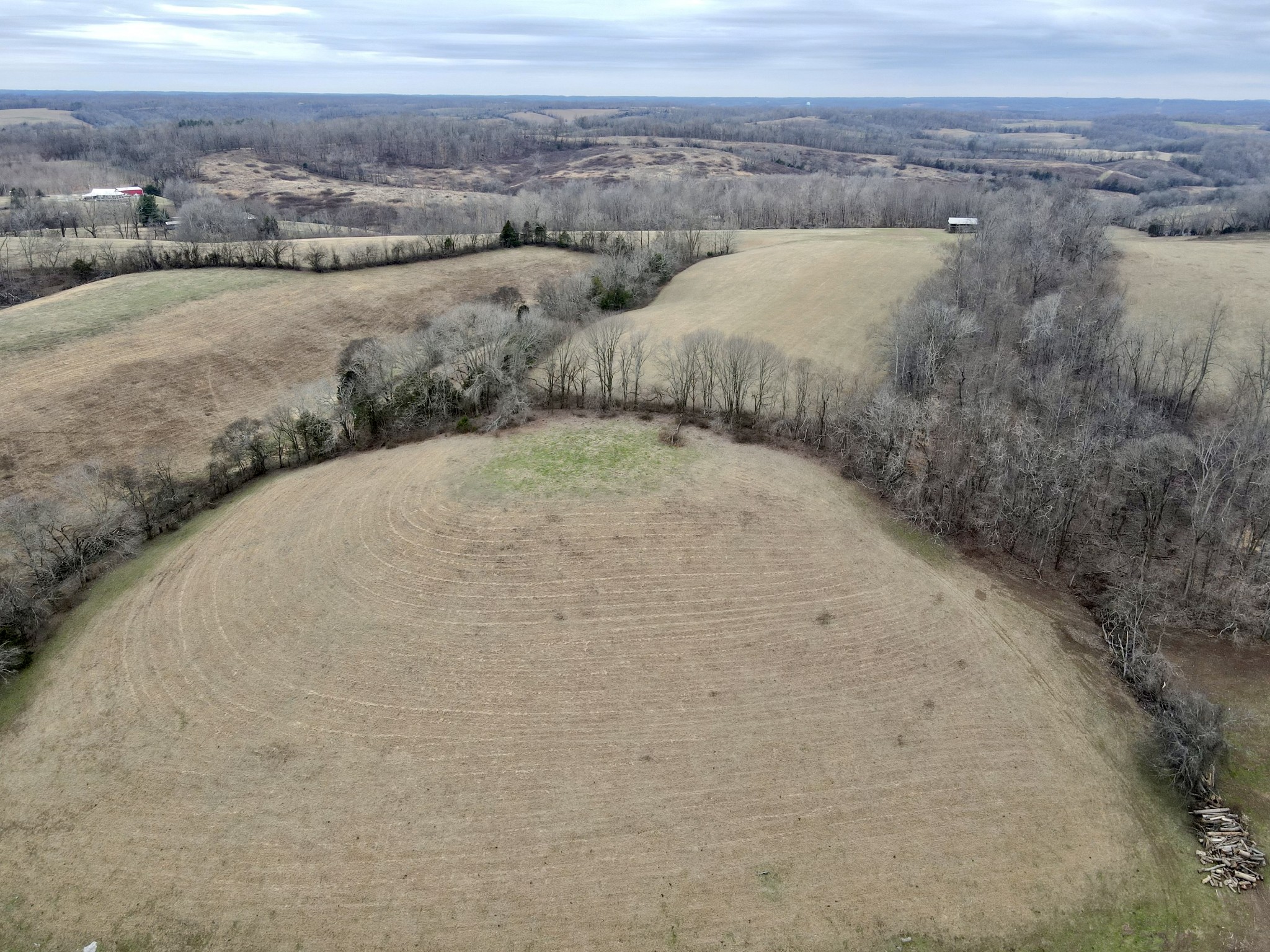 254 Rutledge Road Shelbyville, TN 37160 - Photo 28 of 61 Gallery Image 28