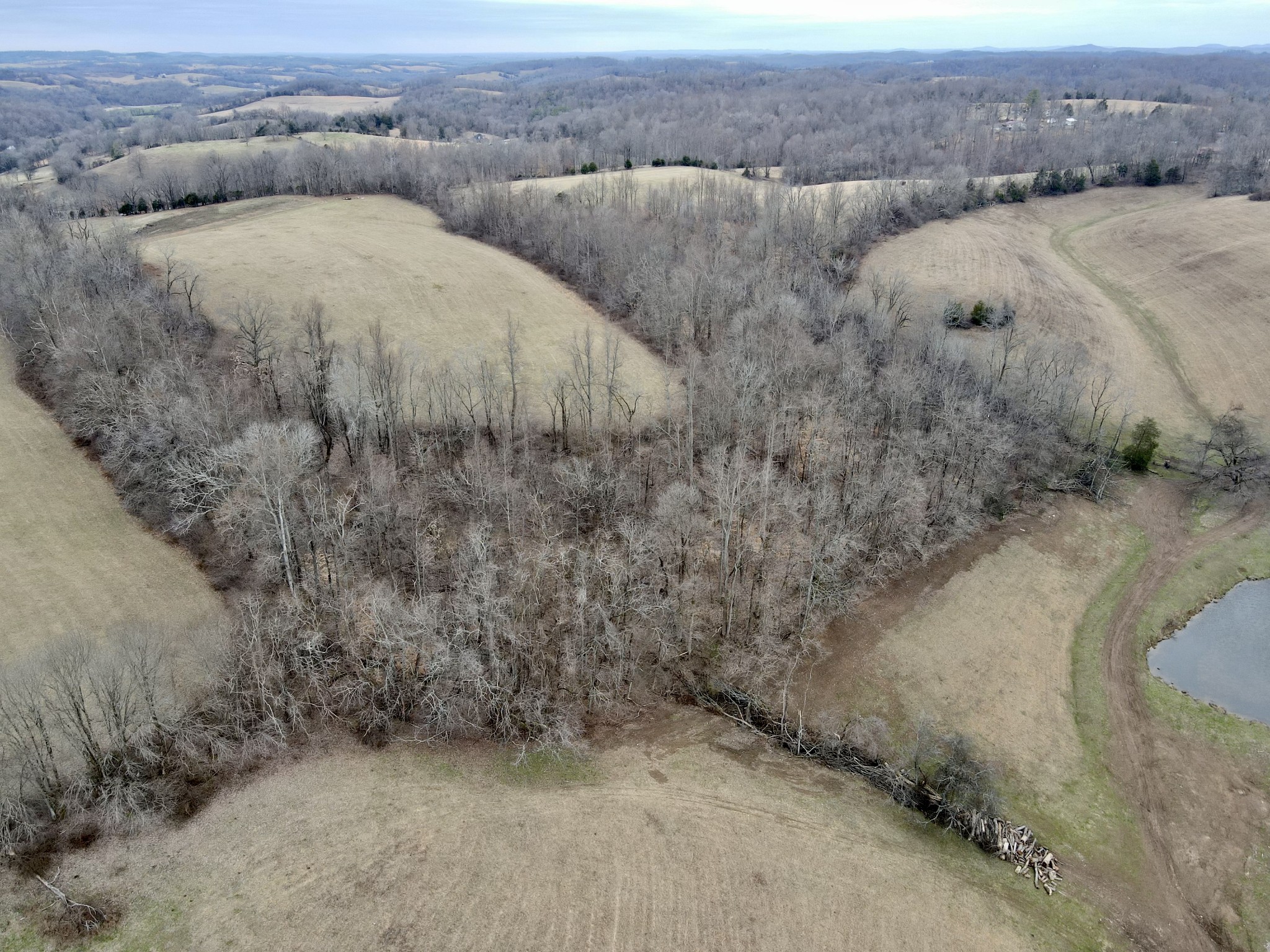 254 Rutledge Road Shelbyville, TN 37160 - Photo 30 of 61 Gallery Image 30