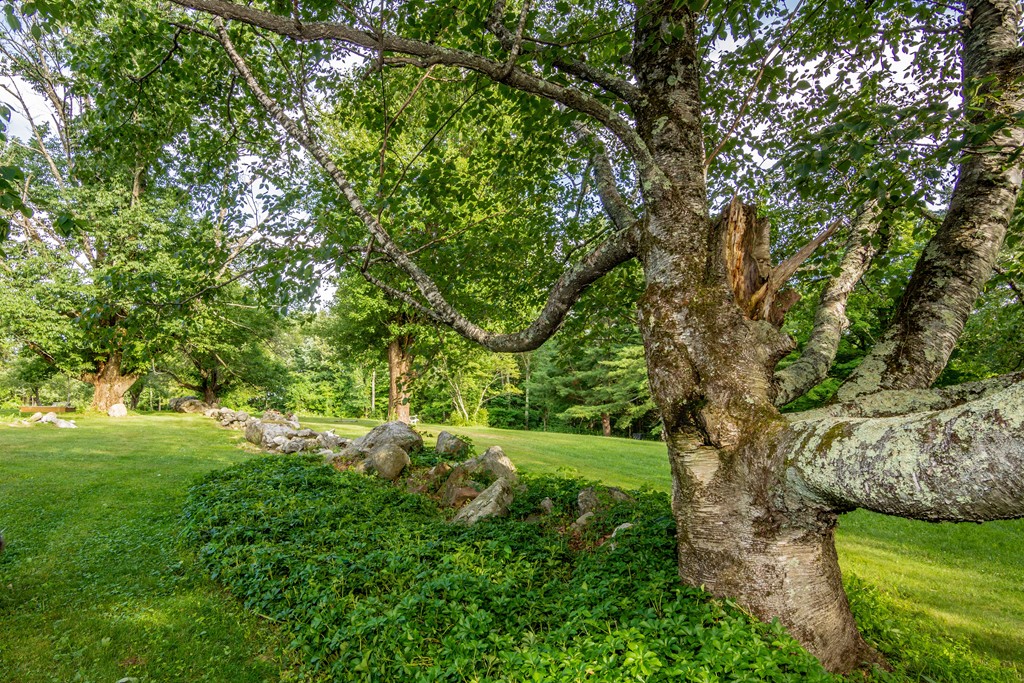 817 Main Road Granville, MA 01034 - Photo 23 of 27 Gallery Image 23