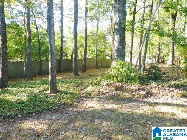 2319 Misty Ridge Circle Birmingham, AL 35226 - Photo 26 of 29