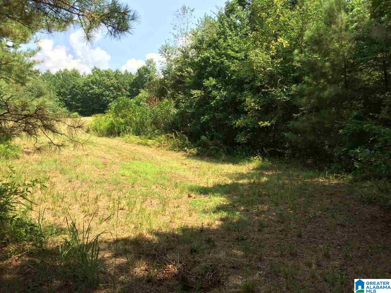Spunky Hollow Road, Unit 18 7 Oneonta, AL 35121 - Photo 19 of 46