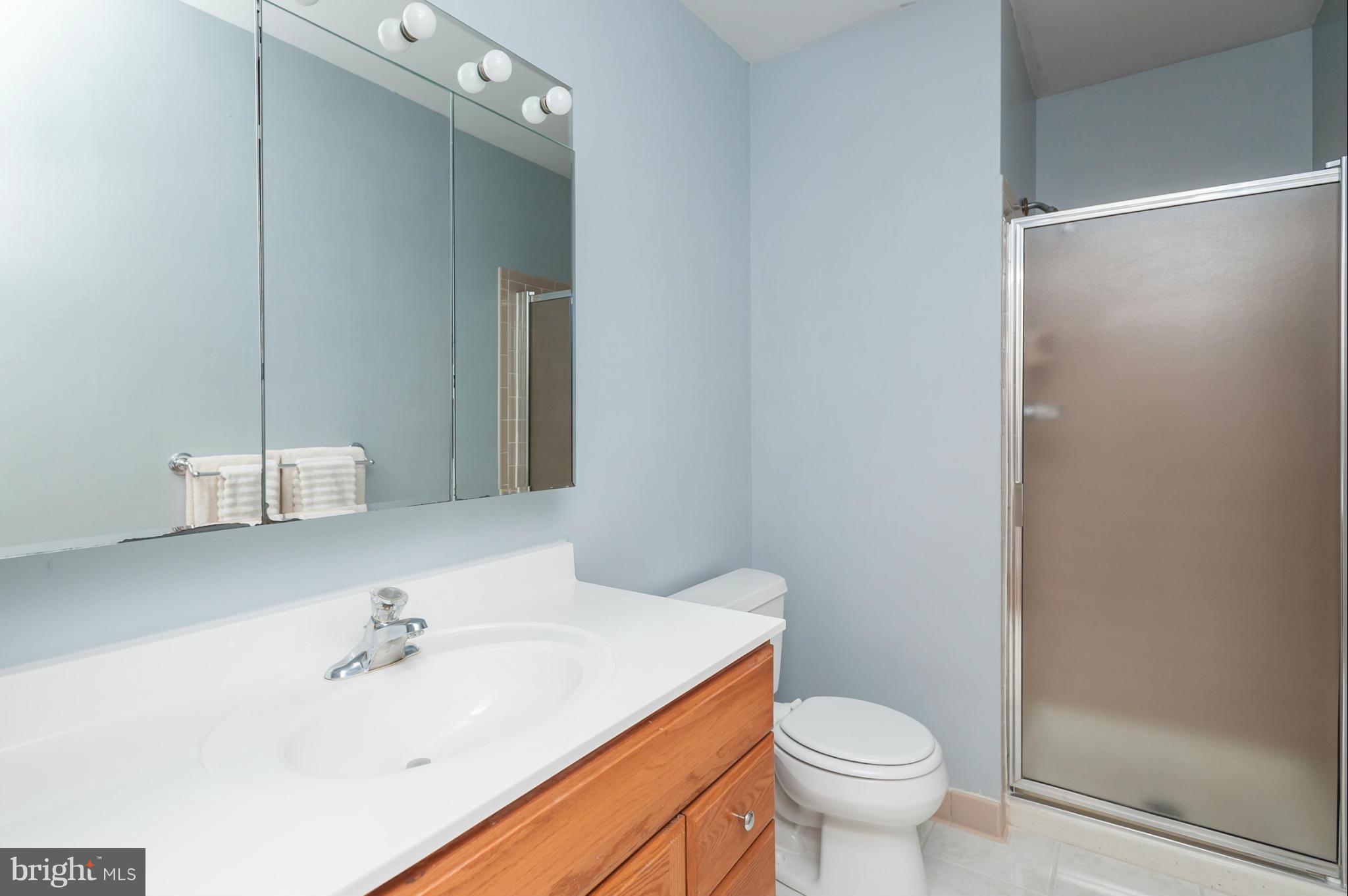 13602 Brookline Road Baldwin, MD 21013 - Photo 22 of 30 Bath (Master)