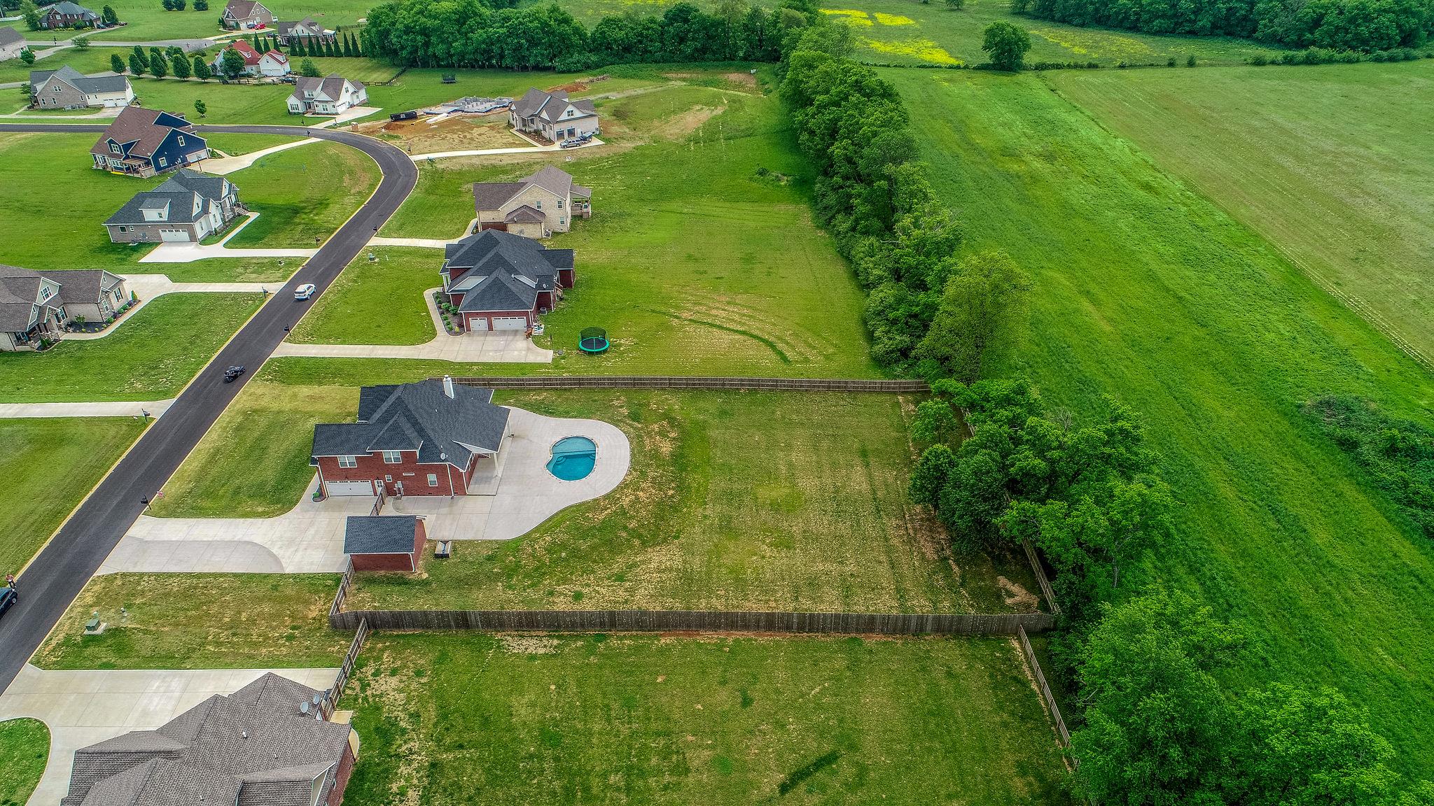 3029 Briley Path Columbia, TN 38401 - Photo 6 of 28 a view of swimming pool with a garden