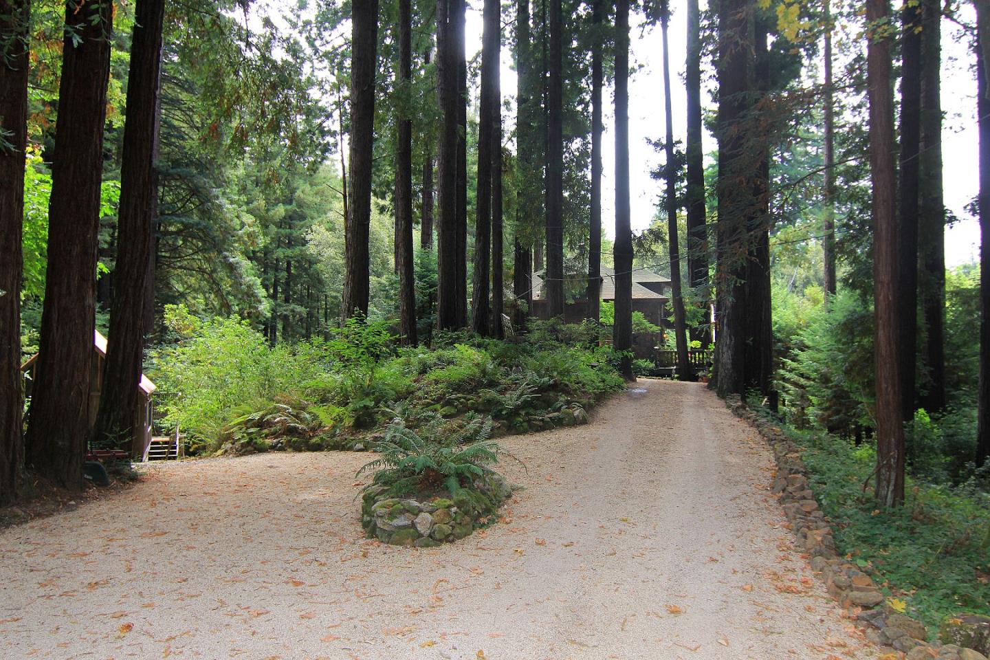 6360 Glen Haven Road Soquel, CA 95073 - Photo 2 of 50 a view of a garden with trees