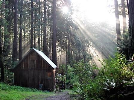 6360 Glen Haven Road Soquel, CA 95073 - Photo 44 of 50 a backyard of a house with lots of green space and wooden fence