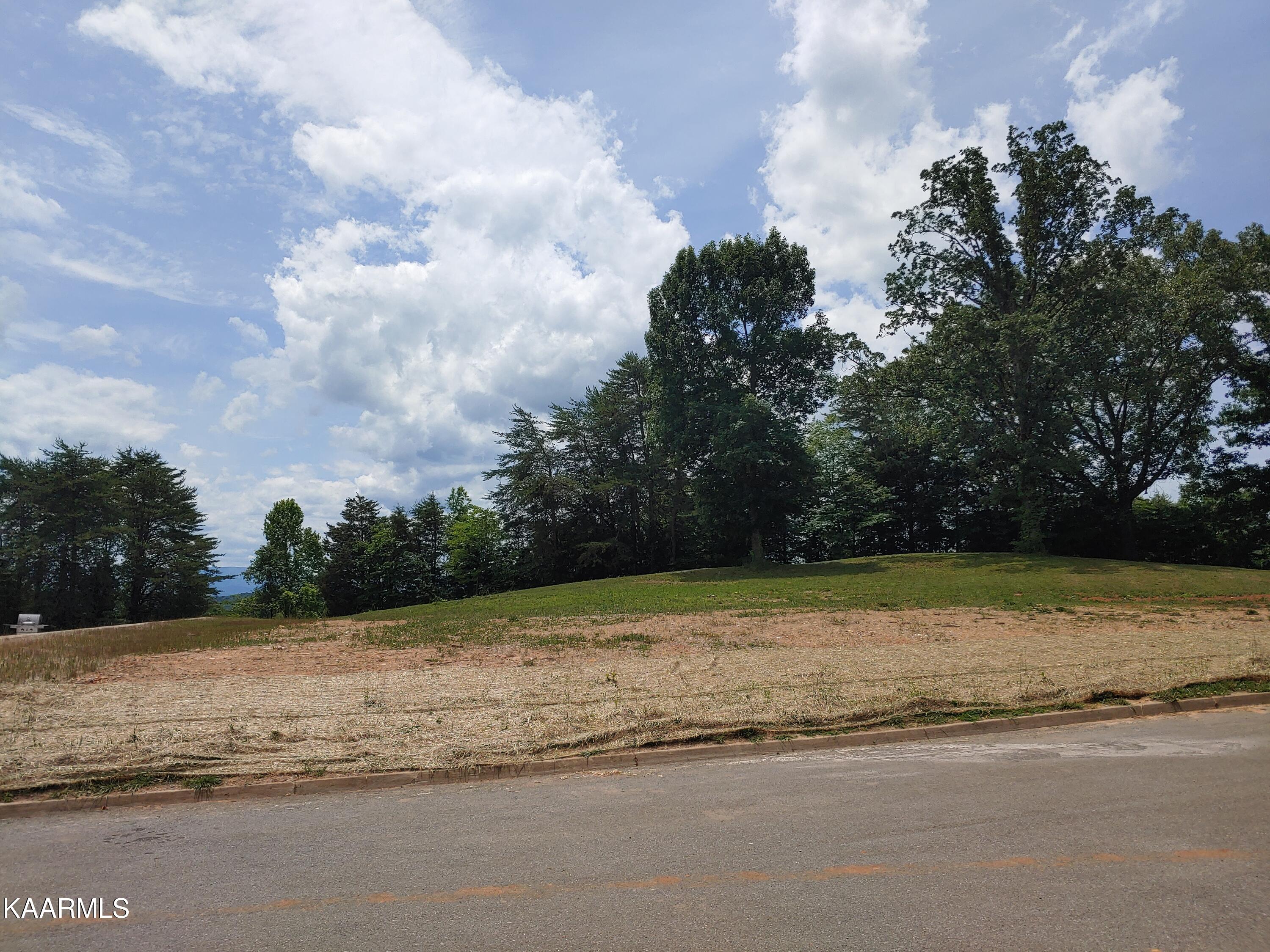 Sandpiper Court Kodak, TN 37764 - Photo 3 of 5 Lot 14 Sandpiper Ct - 3