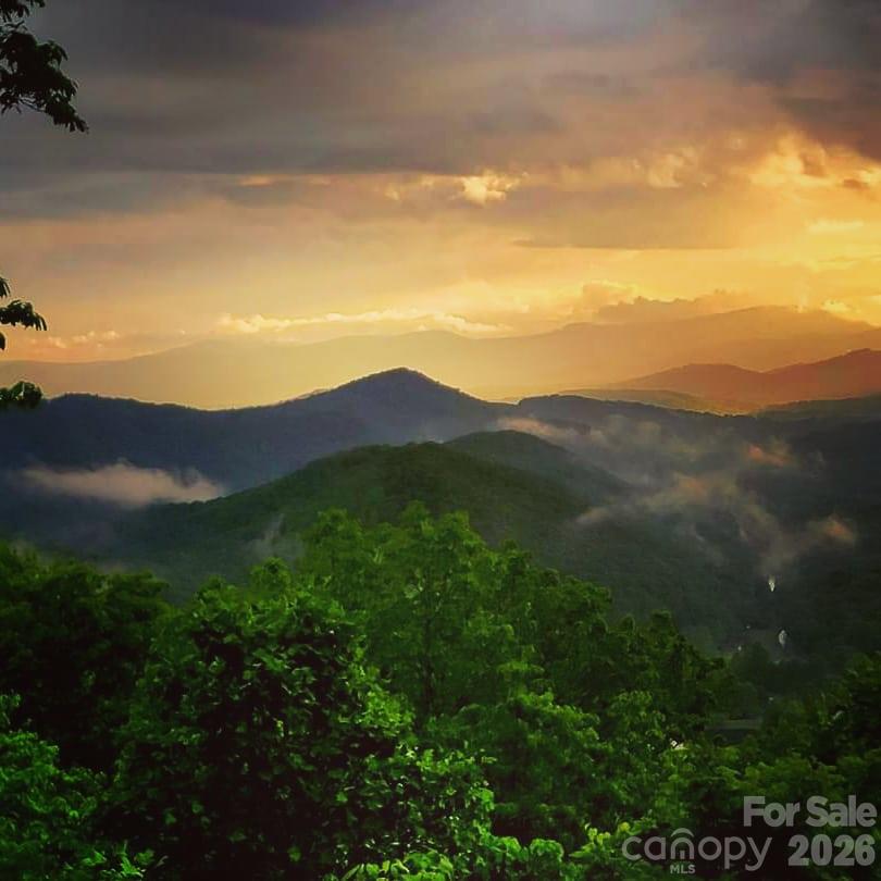 219 Echo Mountain View Road Fairview, NC 28730 - Photo 45 of 48 Gallery Image 45