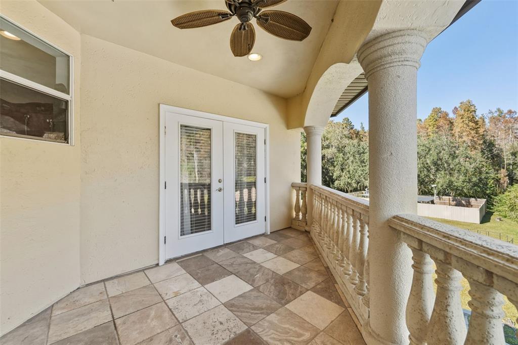 19165 Geraci Road Lutz, FL 33558 - Photo 37 of 82