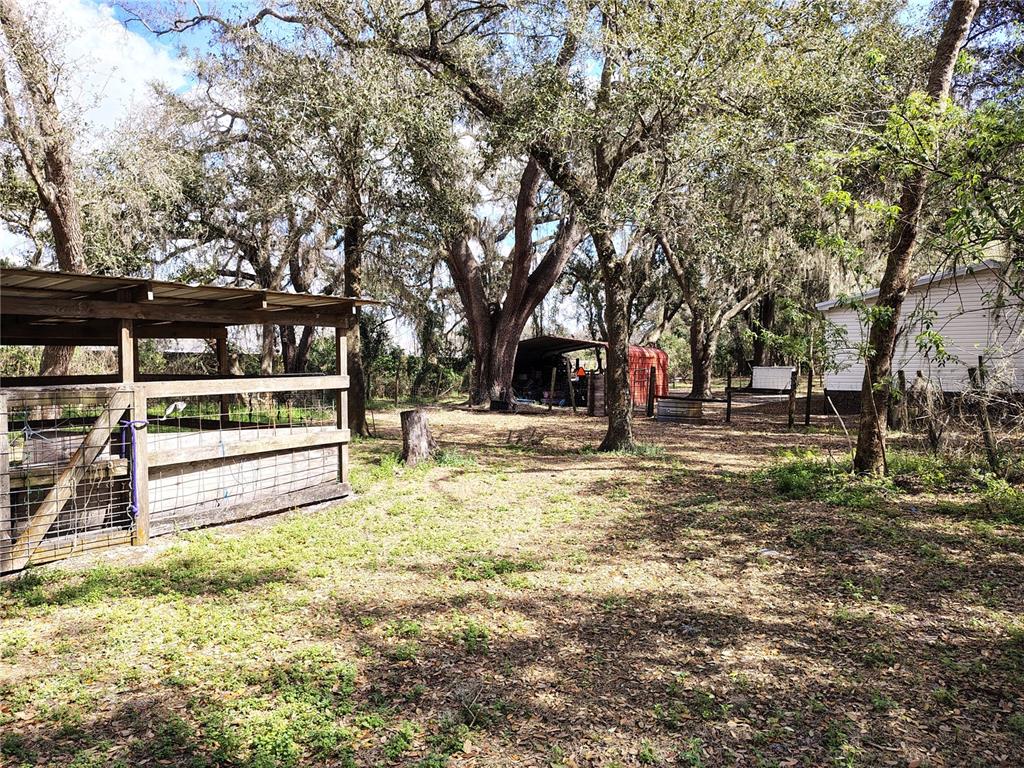 14240 State Rte 471 Webster, FL 33597 - Photo 32 of 53