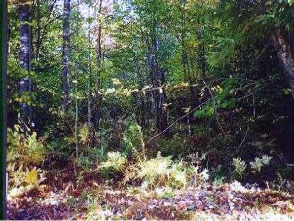 Lot#2 Hallsbrook Road Rumney, NH 03240 - Photo 1 of 1