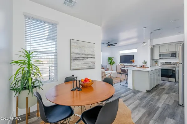 a living room with furniture potted plant a kitchen area with furniture and a potted plant