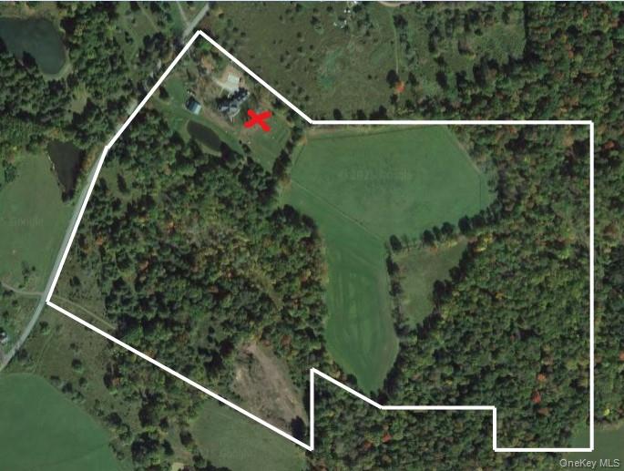 1038 Milanville Road Beach Lake, PA 18405 - Photo 2 of 36 a view of a small yard