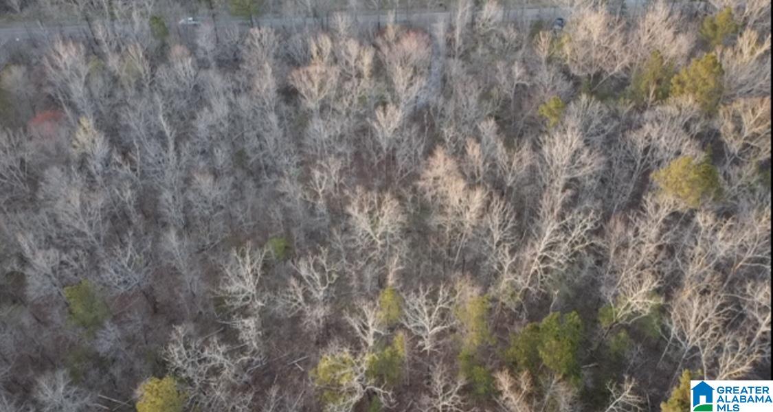 1837 Westover Road Sterrett, AL 35147 - Photo 9 of 14