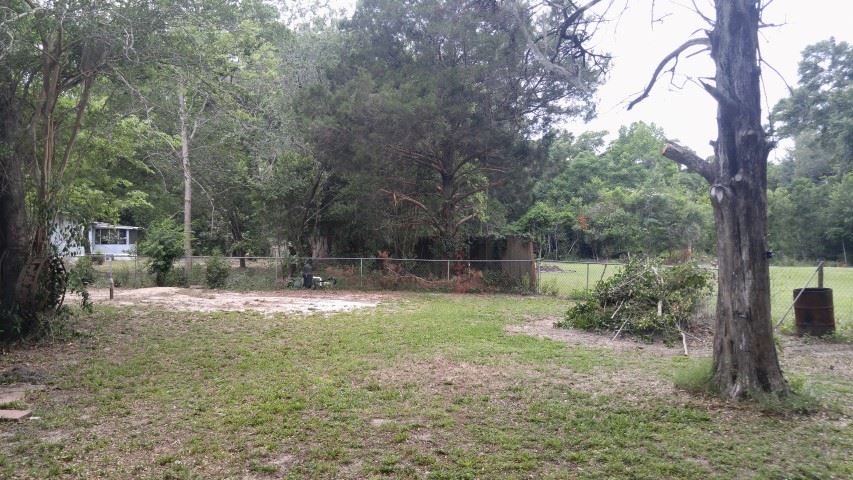 12233 Rock Bluff Road Bristol, FL 32321 - Photo 15 of 17 Gallery Image 15