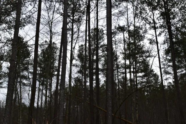 a view of outdoor space and mountain view