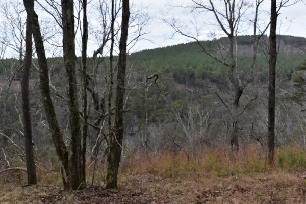 a view of mountain view with lots of trees