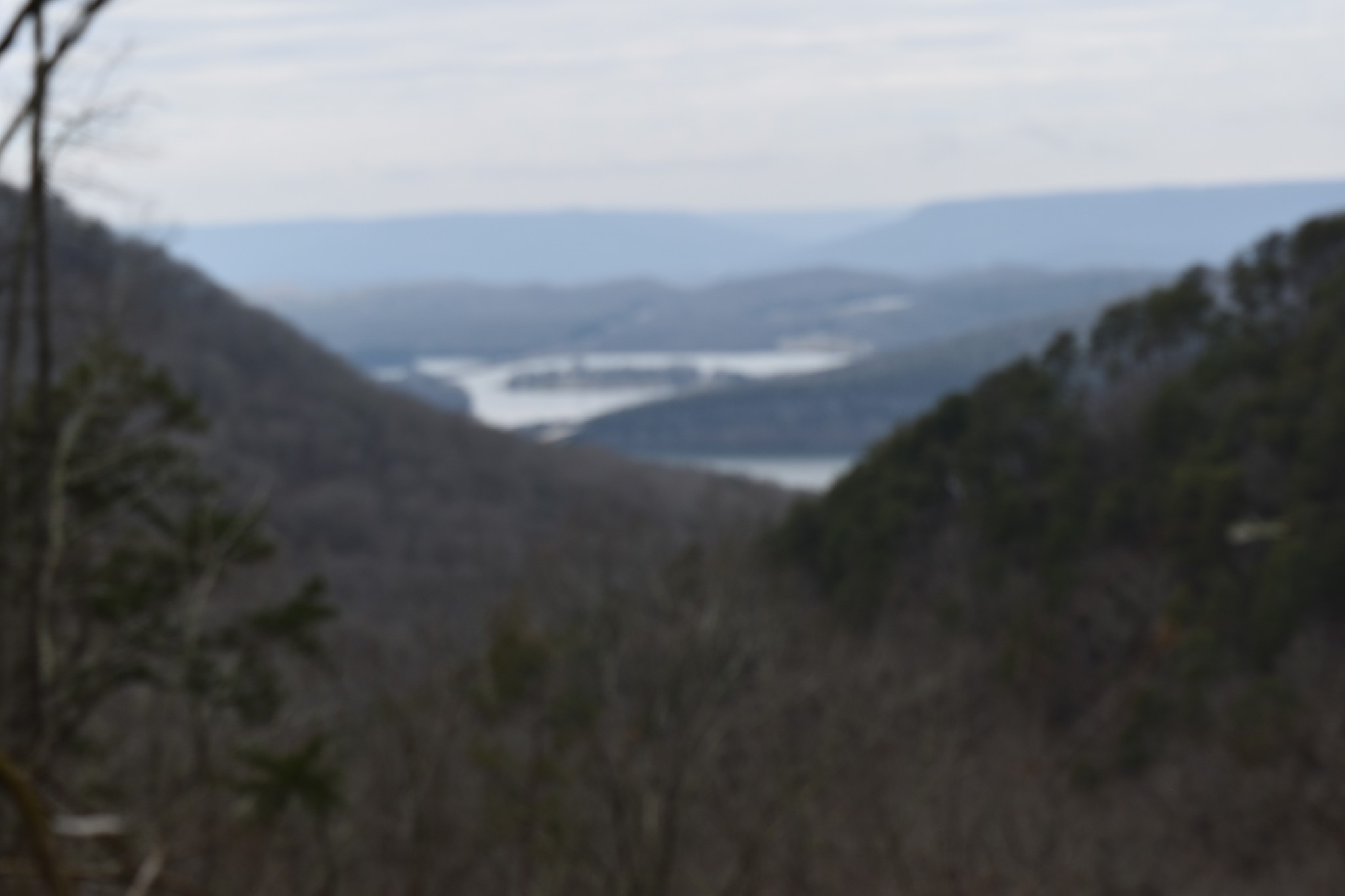 0 Birds Eye Way Guild, TN 37340 - Photo 2 of 36